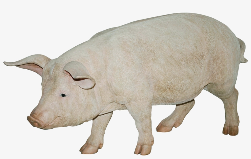 Pig Png Image - Pig Png Transparent Background, transparent png #2143705