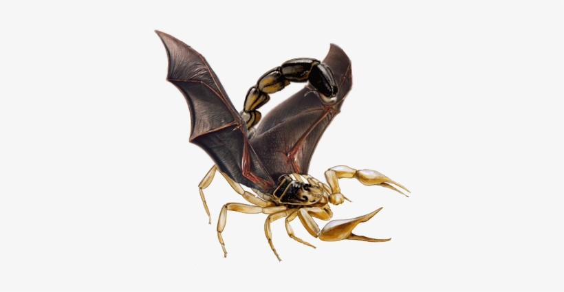It Is Roumored That Deep Underground There Are Bat - Scorpion With Bat Wings, transparent png #2143773