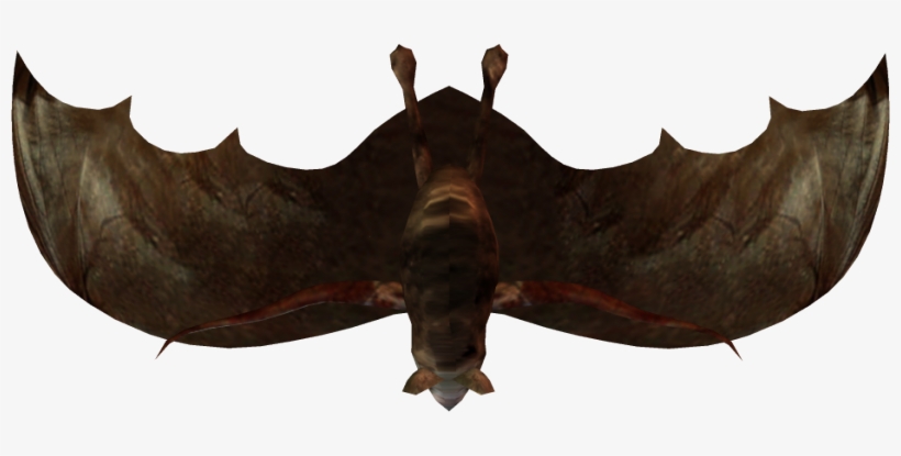 The Little Bats Have A Wingspan Of About 2 Feet - Pacific Sturgeon, transparent png #2143811