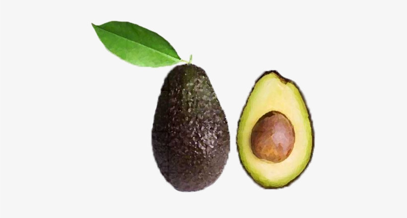 Avocado Png - Transparent Avocado, transparent png #2144046