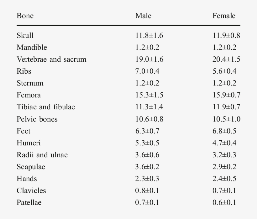 Weight Of Individual Bones Expressed As Percent Of - Amputation, transparent png #2144167