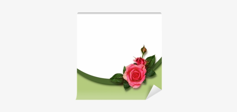 Rose Flowers Composition And Holiday Frame Wall Mural - Rose, transparent png #2145224