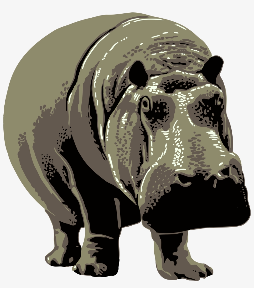 Hippo Photo Background - Zoo Posters, transparent png #2145394