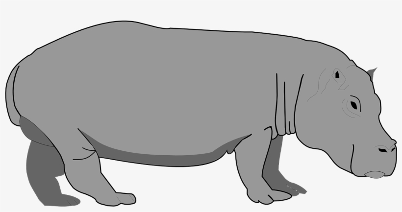 Hippo Gray Hippopotamus - Hippopotamus Clipart, transparent png #2145585