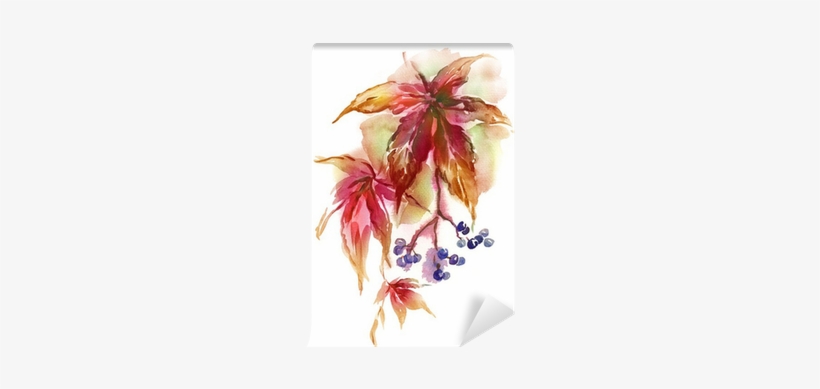 Watercolor Virginia Creeper Twig Wall Mural • Pixers® - Watercolor Painting, transparent png #2147348