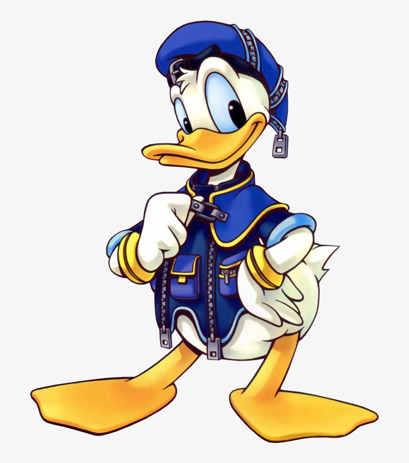 566kib, 800x999, Donald Duck - Donald Duck Kingdom Hearts Memes, transparent png #2147498