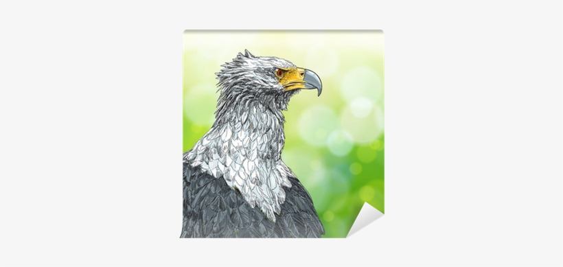 Vector Graphics, transparent png #2148375