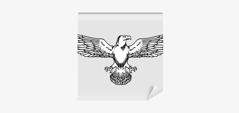 Bald Eagle Wings, transparent png #2148400
