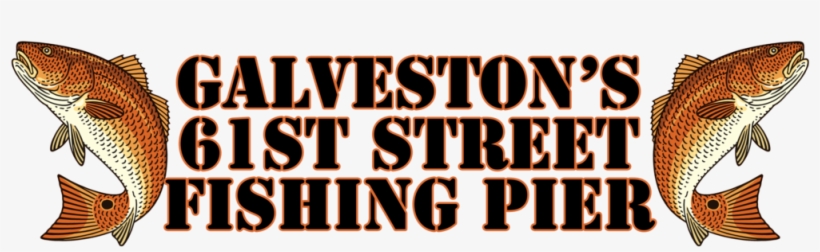 New Color Logo Pier With Stroke, transparent png #2149939