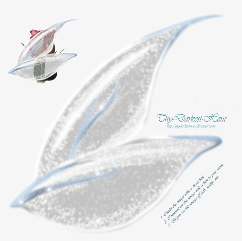 Fairy Wings Side View Png - Transparent Fairy Wings Photoshop, transparent png #2150046