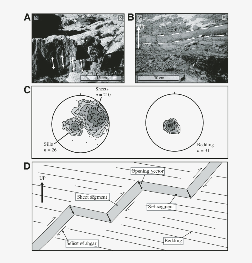 Double-sided Arrows Indicate The Orientation Of The - Sill, transparent png #2150078