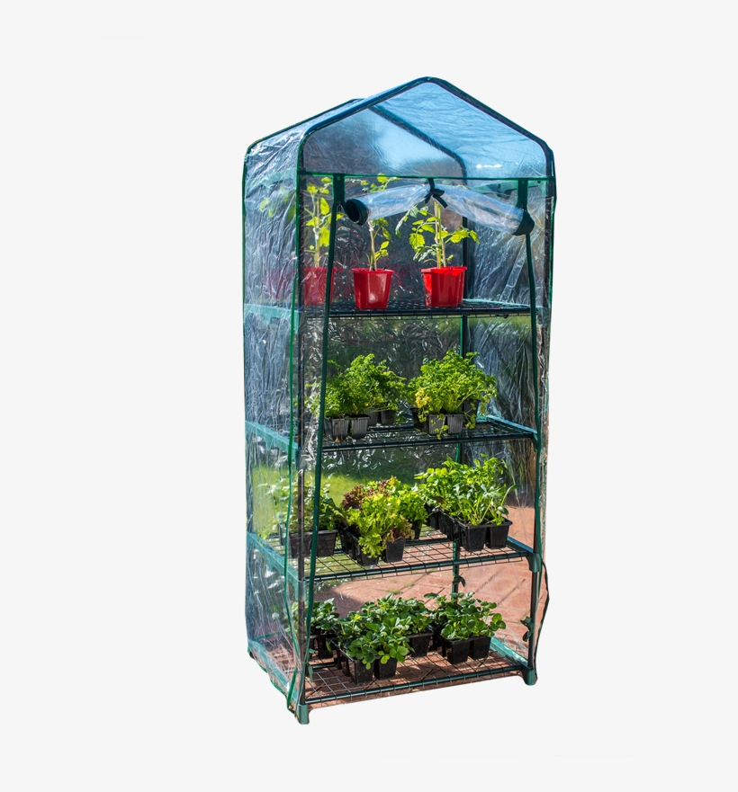 Holman 4 Tier Greenhouse With Misting Kit - Greenhouse Bunnings, transparent png #2150511