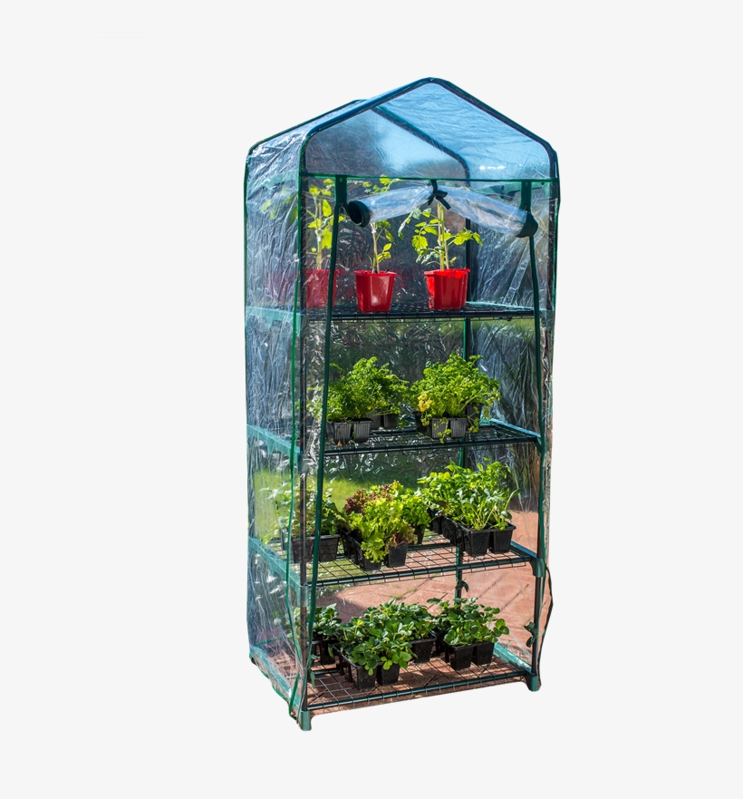 Holman 4 Tier Greenhouse With Misting Kit Greenhouse Bunnings Free