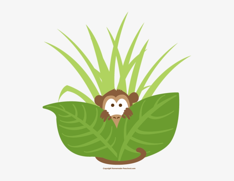 Monkey Peeking Out 521×554 Pixels - Monkey Peeking Png, transparent png #2151565