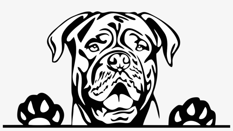Hotsigns And Decals - Pitbull Dog Clipart Black And White, transparent png #2151936