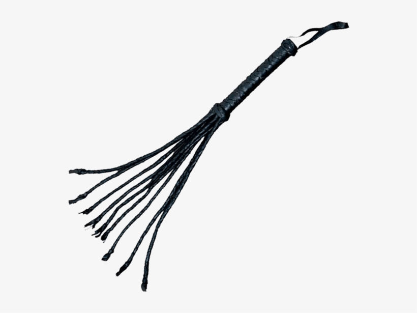 Cat O Nine Tails Whip - Different Types Of Whips, transparent png #2151994
