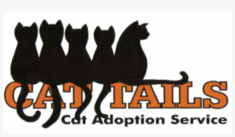 Cat Tails Cat Adoption Services, Inc - Cat, transparent png #2152252
