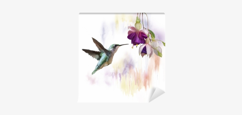 Hummingbird And Flowers Watercolor Wall Mural • Pixers® - Koliber Kwiaty, transparent png #2152448