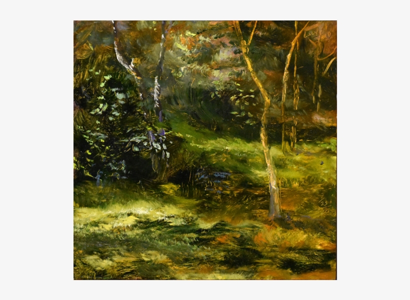 Image Not Available - Old-growth Forest, transparent png #2152797