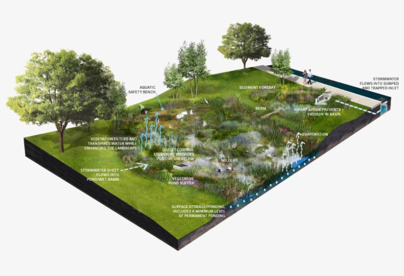 File - Schematic - Stormwater Retention Basin, transparent png #2152977