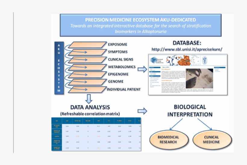 Aku-dedicated Precision Medicine Ecosystem - Information, transparent png #2153431