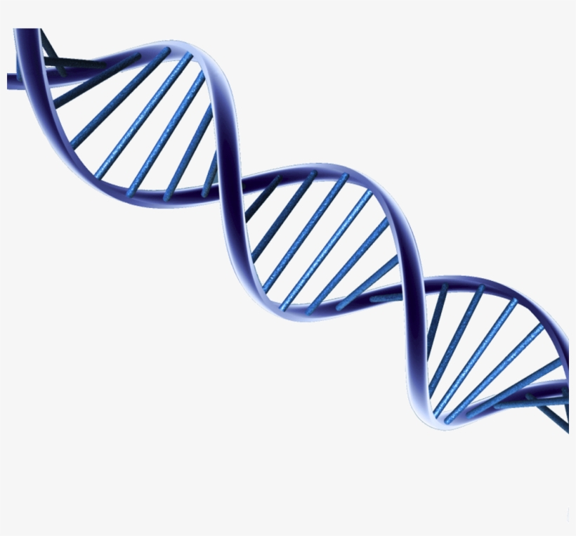 Psa And Prostate Cancer Research, transparent png #2154129