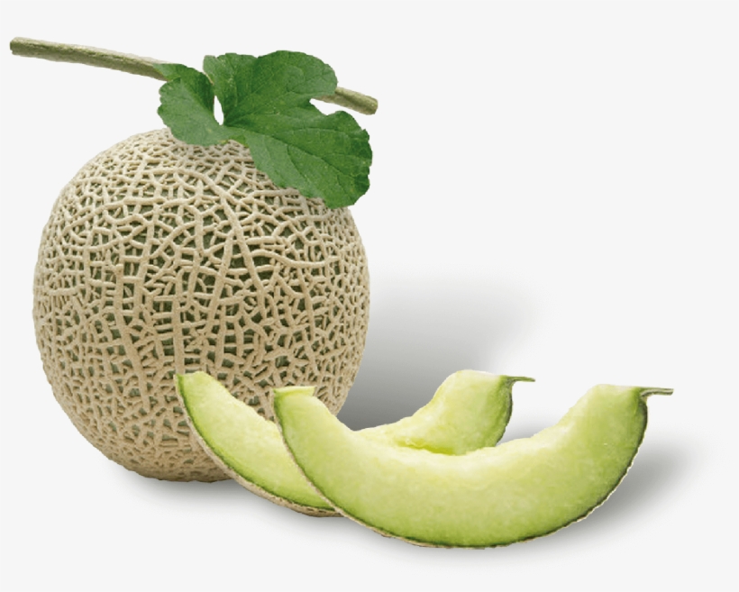 Musk Melon - 메론, transparent png #2154157