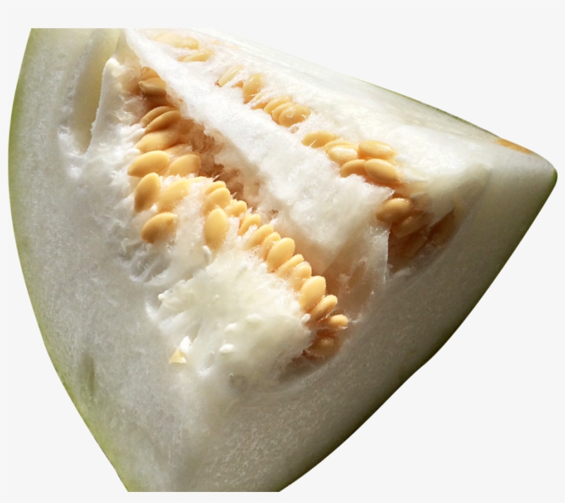 Winter Melon Png Image1 - Wax Gourd, transparent png #2154204