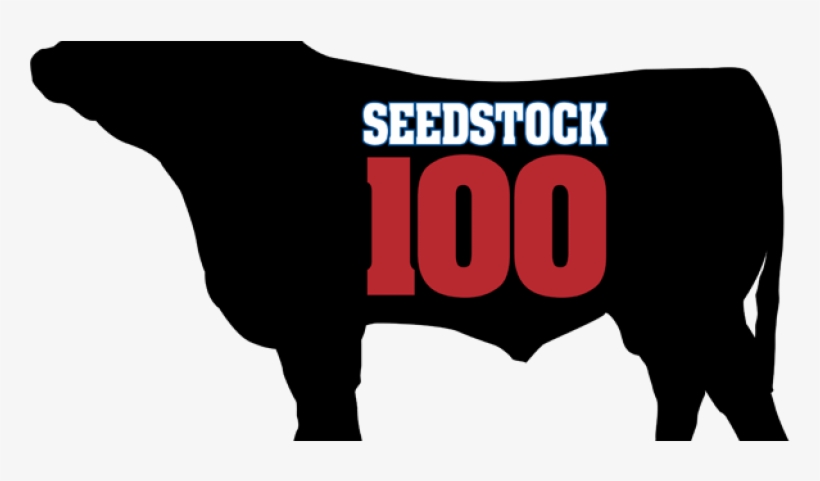 Seedstock 100 - Livestock>seedstock - Beef, transparent png #2154511
