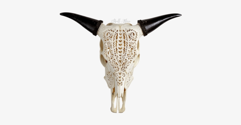 Carved Cow Skull - Cow Skull Tribal, transparent png #2154580