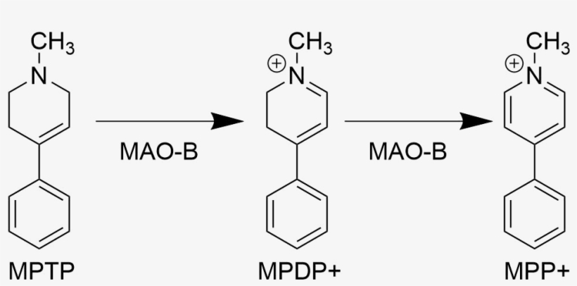 Mpp Biosynthesis Pathway - Jpeg, transparent png #2154978