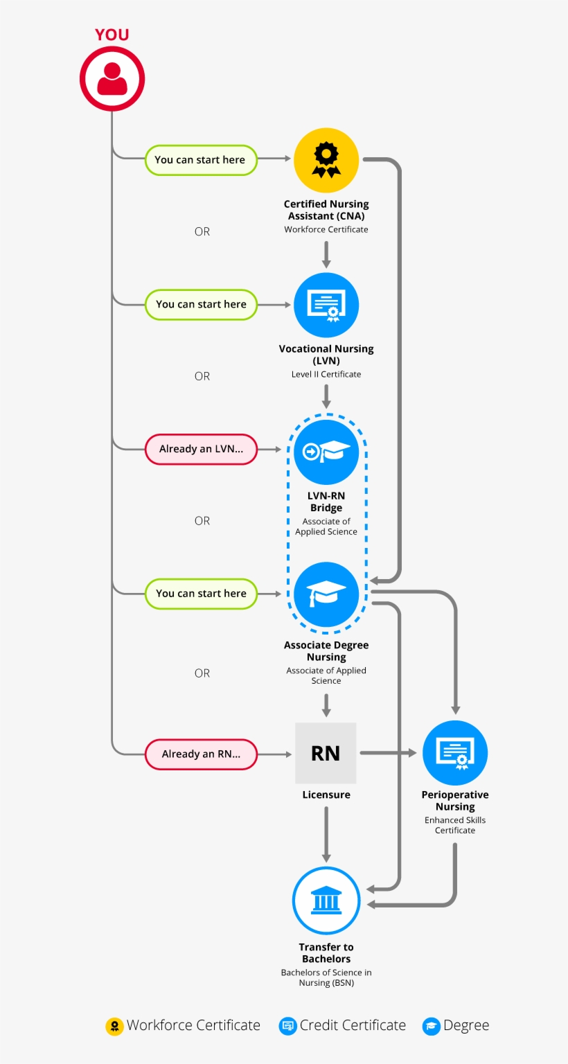 A Map Of The Nursing Pathways - Nursing, transparent png #2155060
