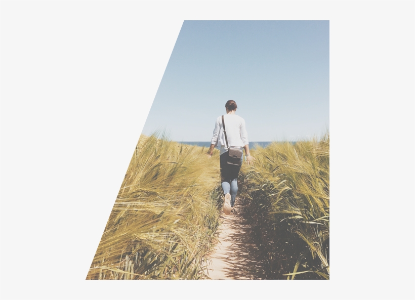 Pathway - Path To What You Want: A Transformational Program To, transparent png #2155136