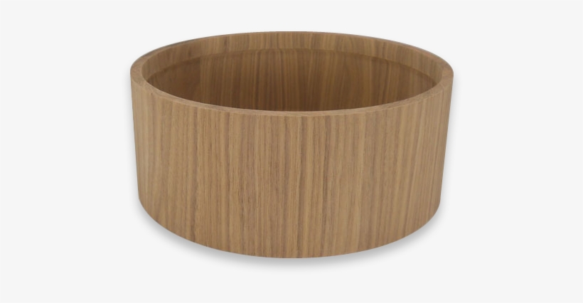 Resonate Shells - Portable Network Graphics, transparent png #2155138