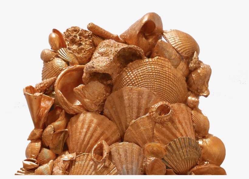Chocolate, transparent png #2155207
