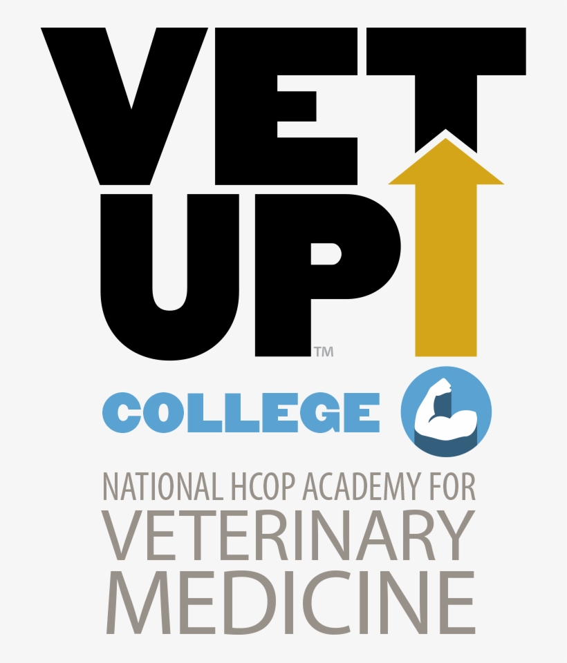 January 7, 2019 At - Binary Palindrome 1001001 Decimal 73 Tile Coaster, transparent png #2155546