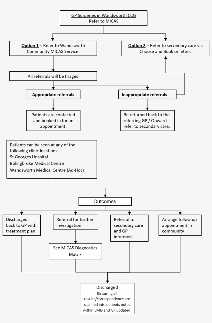 Micas Pathway - Diagram, transparent png #2155577