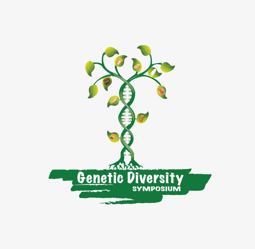 Calling All Post-graduate Students Interested In Genetic - Centros De Diversidad Genetica, transparent png #2156293