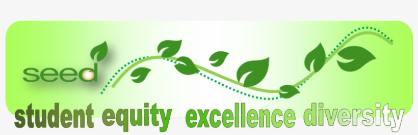 Image Information - Seed Uh Manoa, transparent png #2156475