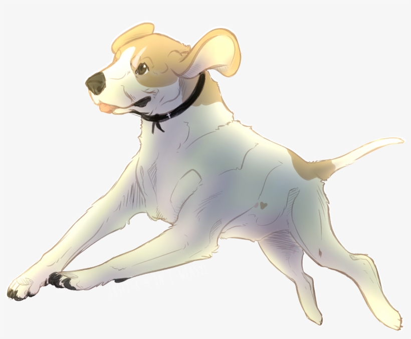 Jump Rope - English Foxhound, transparent png #2156563