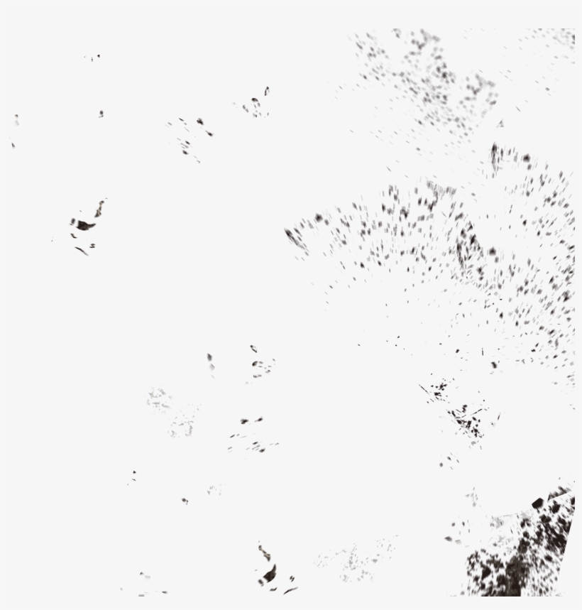 “a Rare Gem For Warhammer Fans - Bird, transparent png #2157214