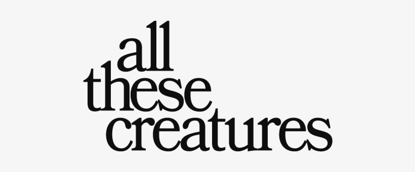 Trick-or-treating, transparent png #2157445