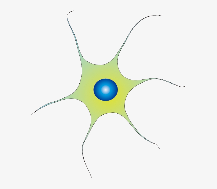 201102 Neuron - Circle, transparent png #2157677