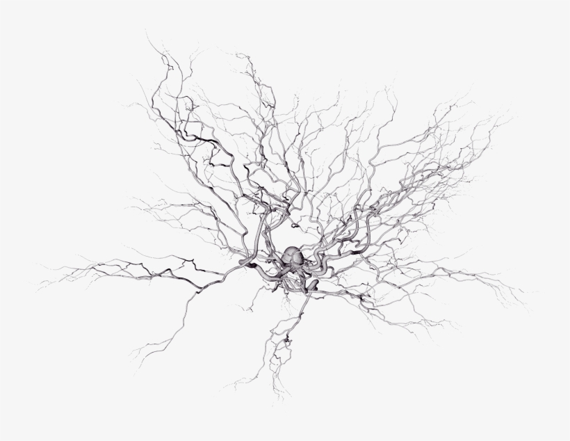 Scanning Electron Microscope, transparent png #2158156