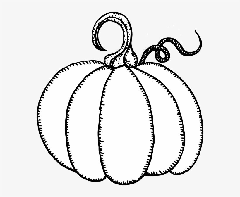 How To Set Use Pumpkin Outline Clipart, transparent png #2158324