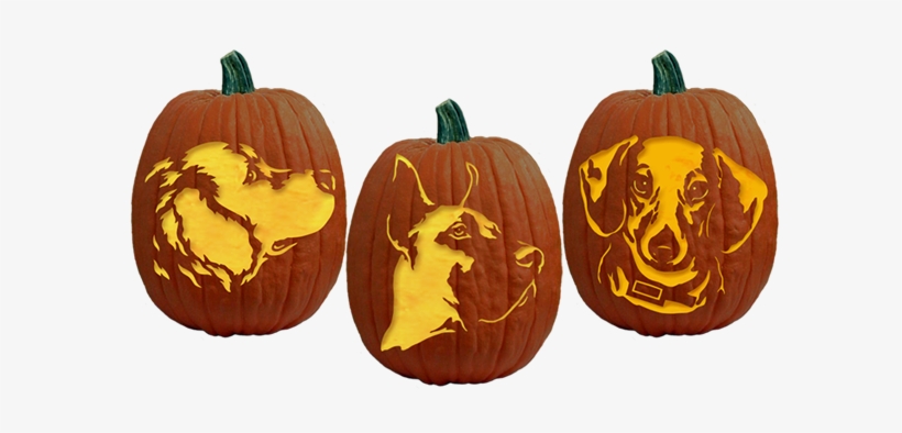Be The Top Dog This Halloween With These Adorable, - Fairy Pumpkin Carving Ideas, transparent png #2158825