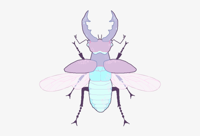 Jpg Freeuse Download Bugs Drawing Aesthetic - Bug Transparent, transparent png #2159046