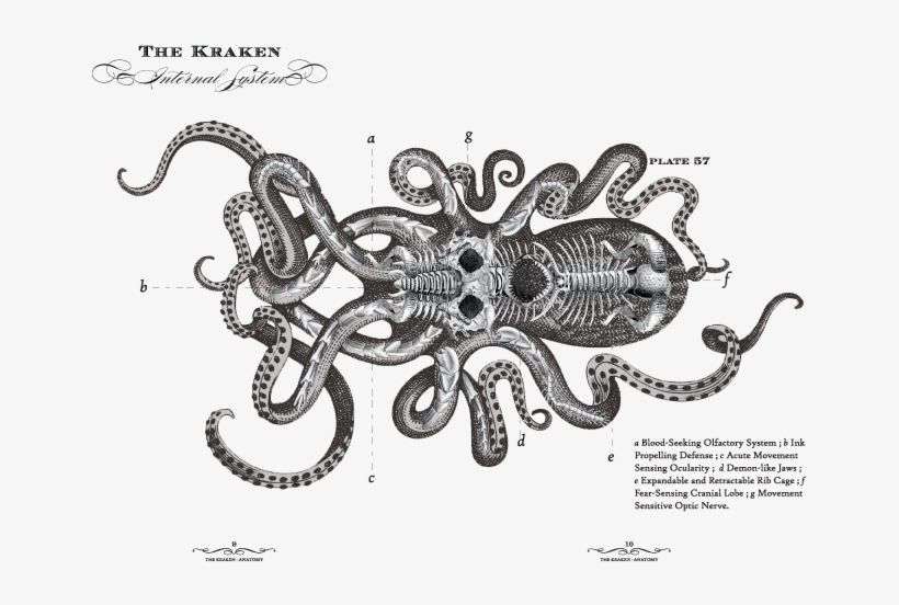 Clip Transparent Library Rum Le Chant Du Others Transprent - Kraken Rum, transparent png #2159305