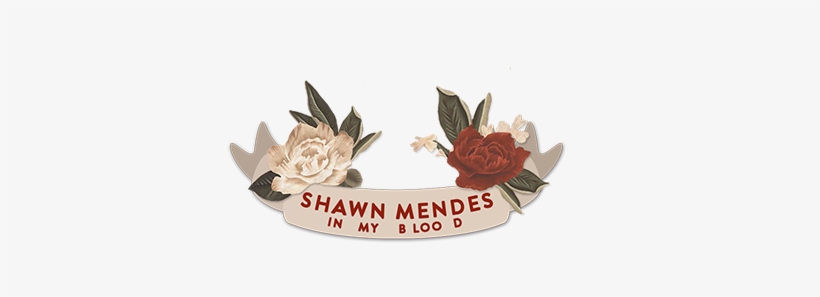 Support Shawn Mendes' New Single "in My Blood" By Adding - Picsart Photo Studio, transparent png #2160426
