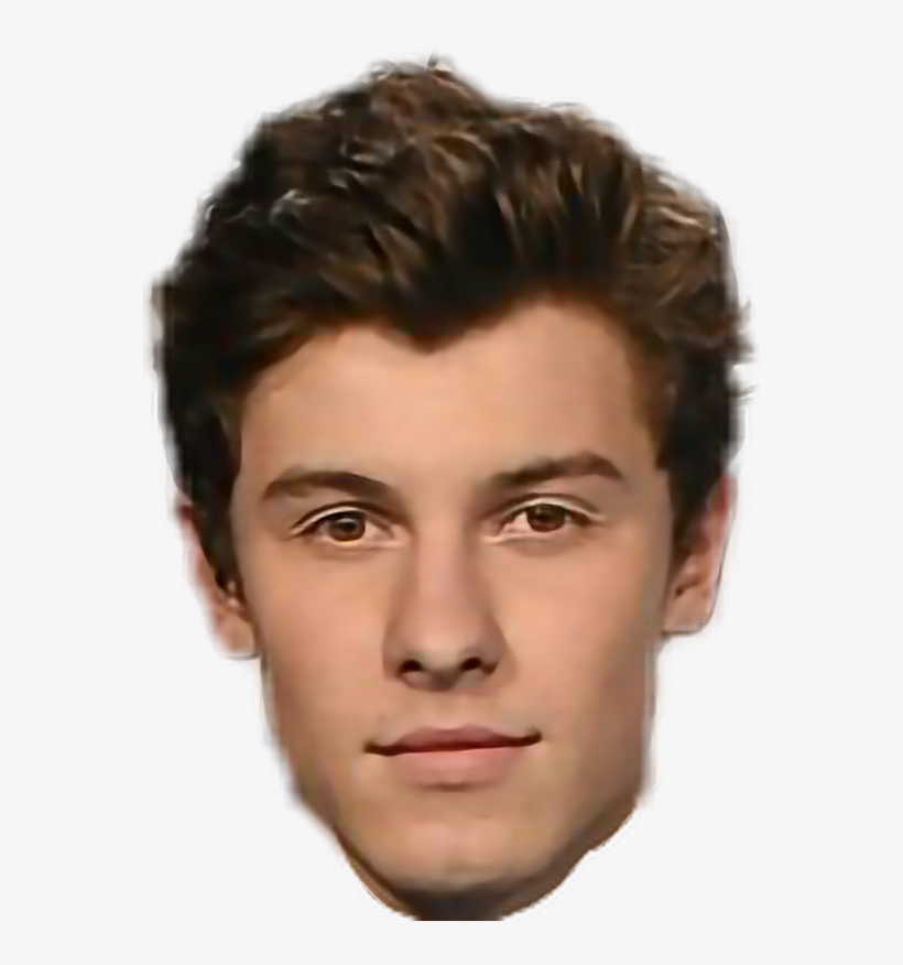 Report Abuse - Shawn Mendes Head Png, transparent png #2160642